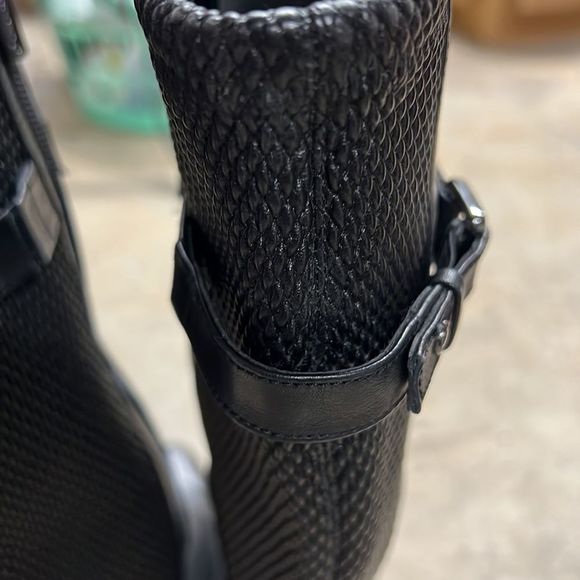 New Blondo Women's Zabel - Picture 3 of 4